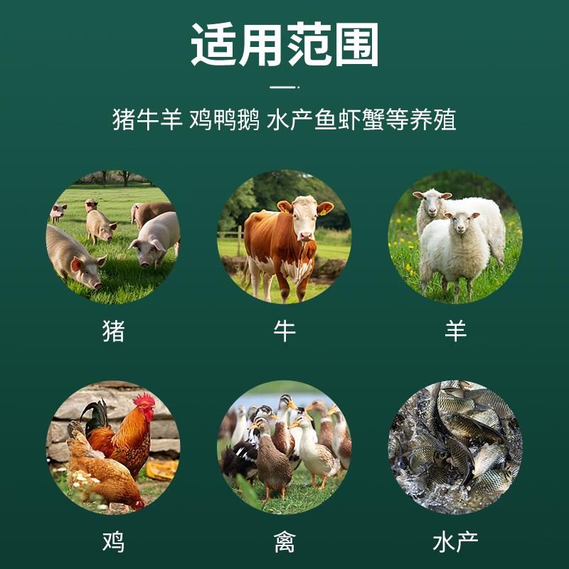 大蒜素粉兽用浓缩鸡鸭猪牛羊诱食饲料添加剂水产益生菌