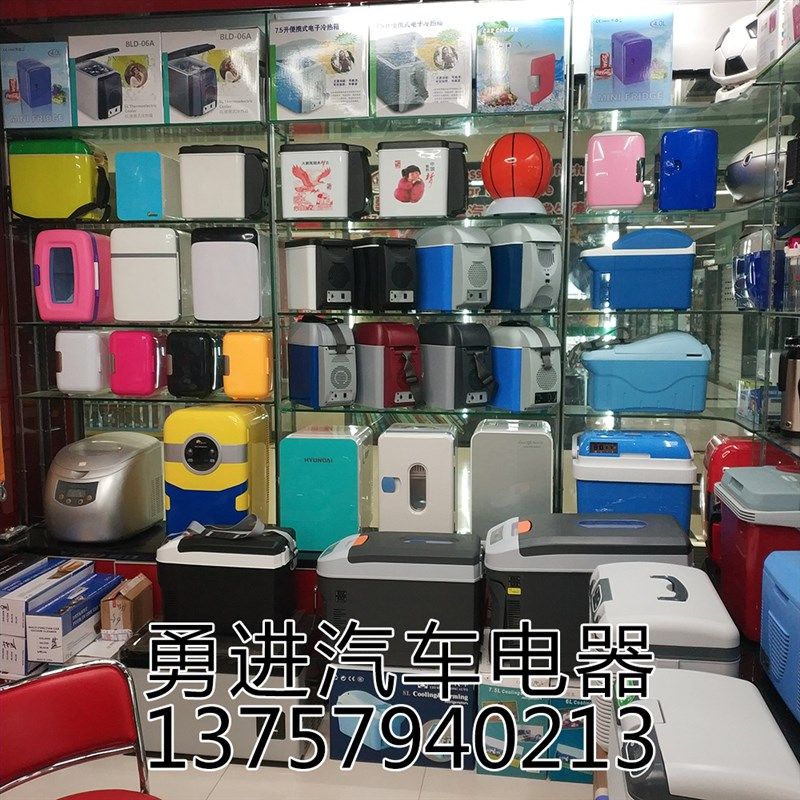 6L车载迷你冰箱车家两用冷暖恒温冷藏箱12v24v货车可用胰岛素冷藏