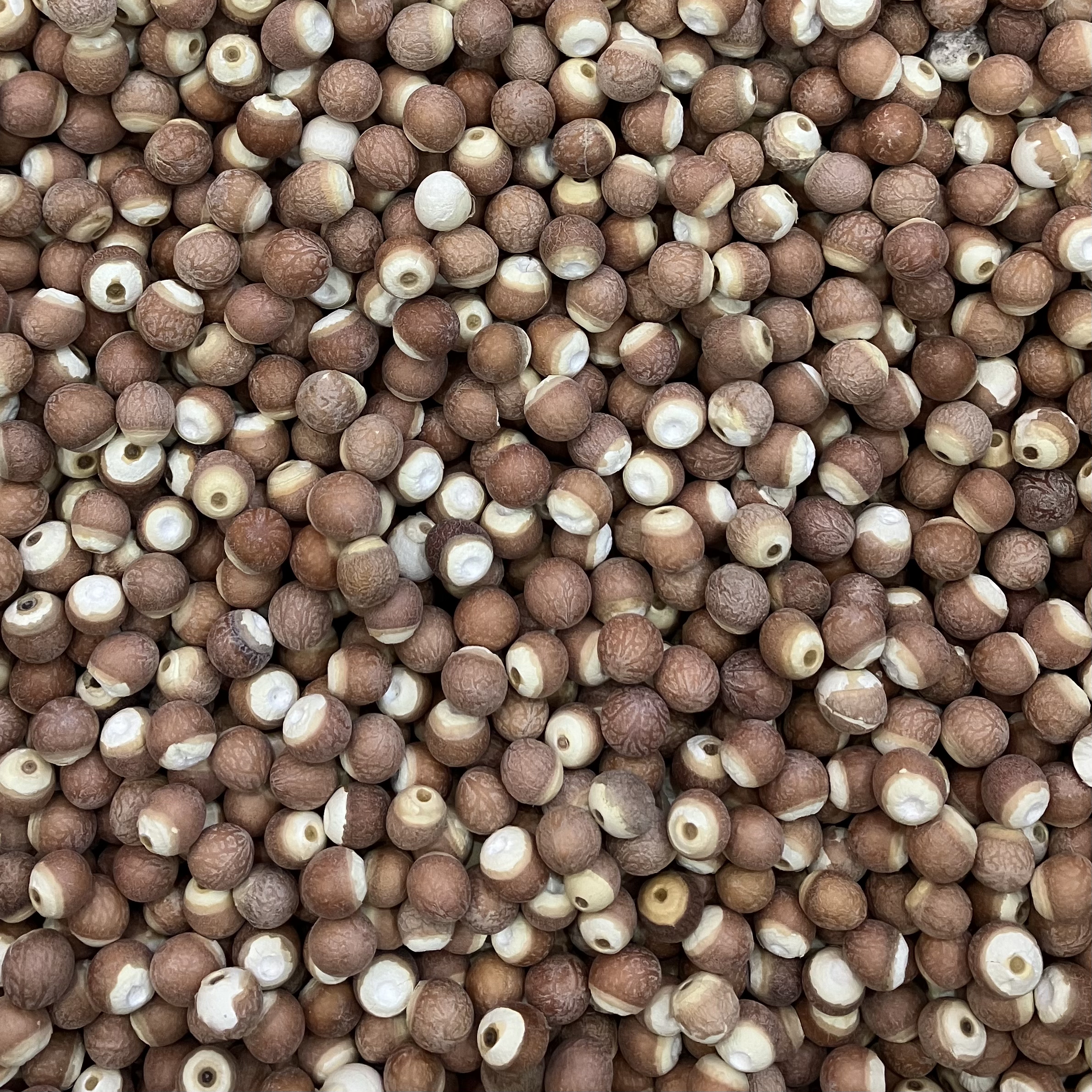 芡实中药材正品肇庆芡实干货500g特级芡实广东肇庆芡实米当季新货