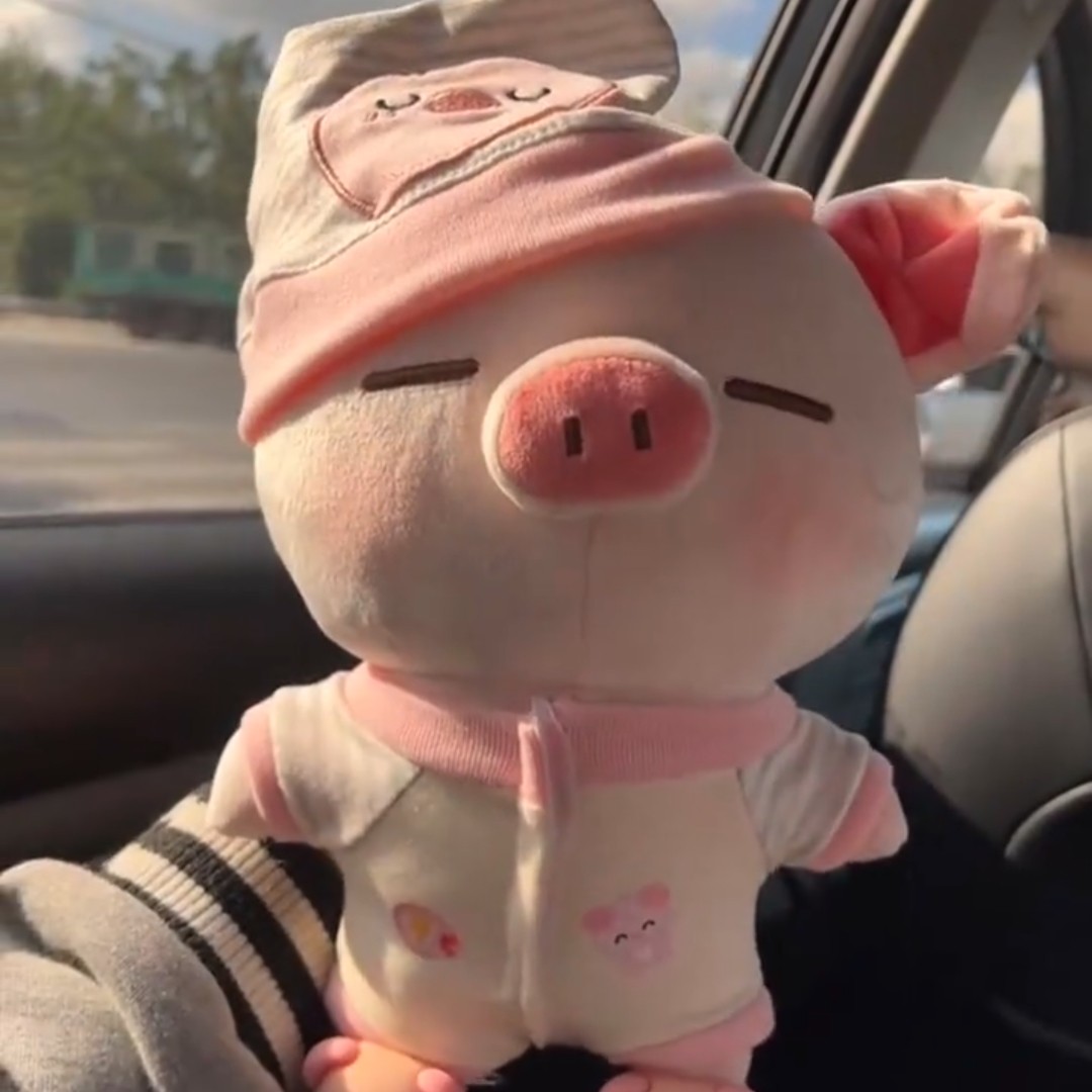 可爱软萌小猪毛绒公仔生日礼物