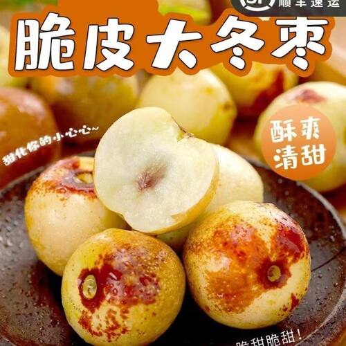 冬枣脆甜大枣新鲜脆枣薄皮多汁