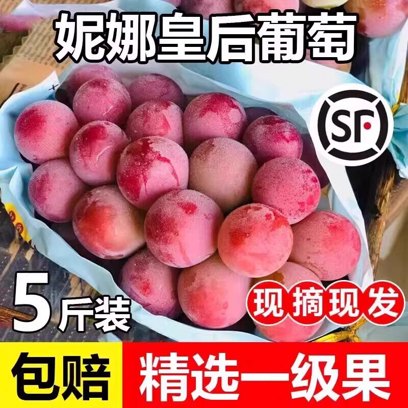 顺丰冷链妮娜皇后葡萄新鲜水果当季无籽提子礼盒新鲜当季水果