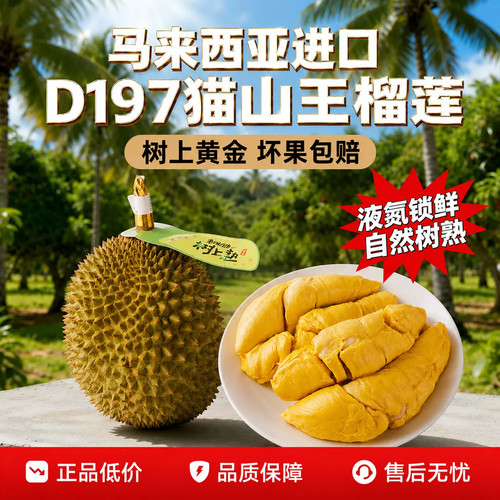 马来西亚猫山王榴莲D197整果保鲜液氮冷冻新鲜水果顺丰包邮AA级