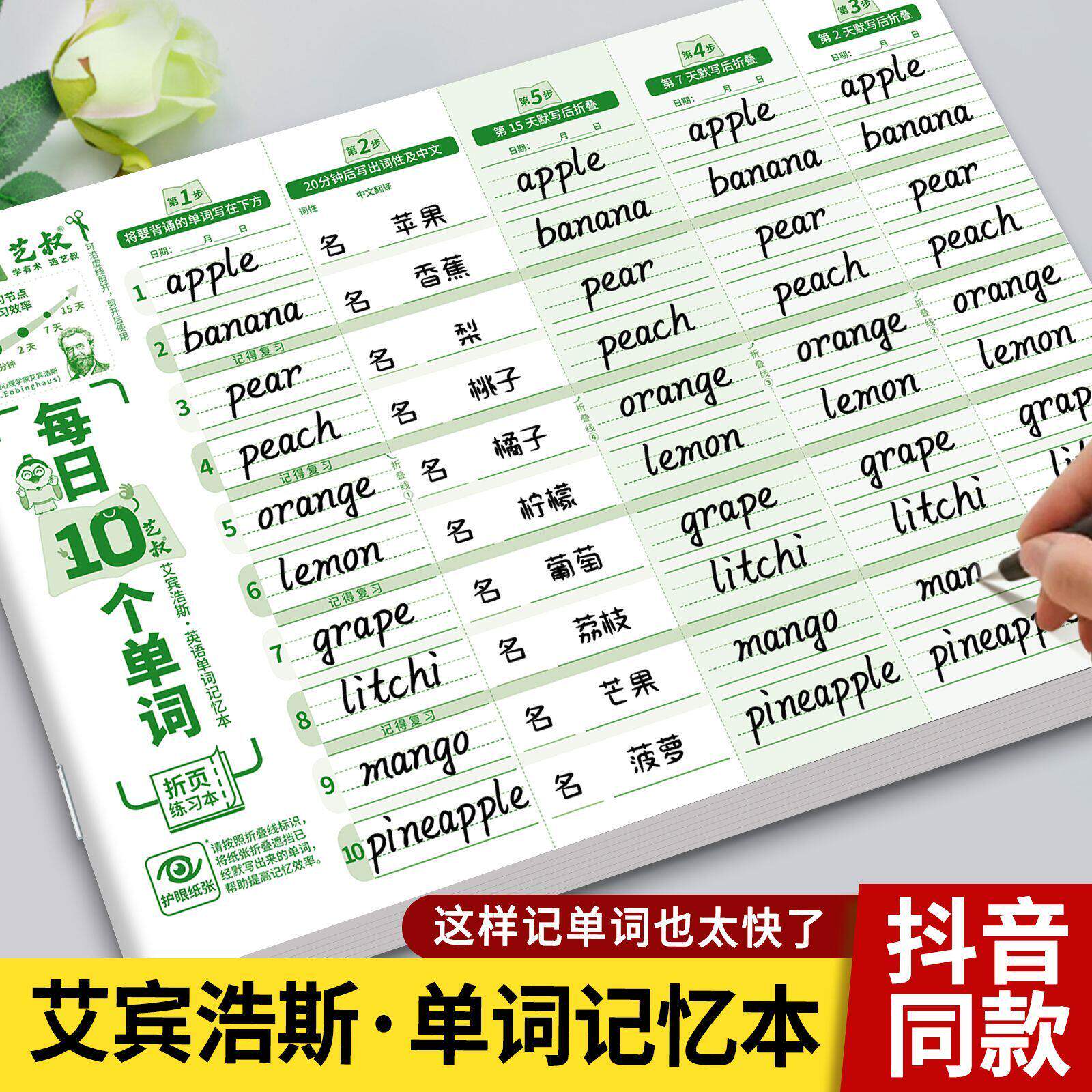 小学英语艾宾浩斯10词速记本