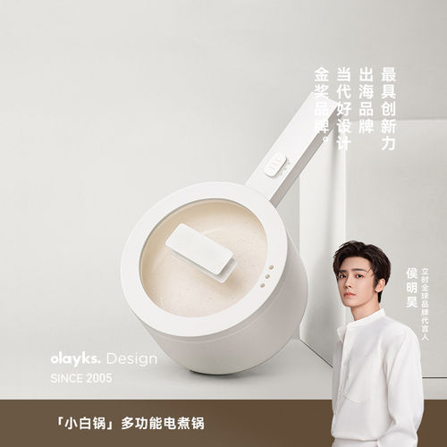 olayks立时110V电煮锅多功能宿舍