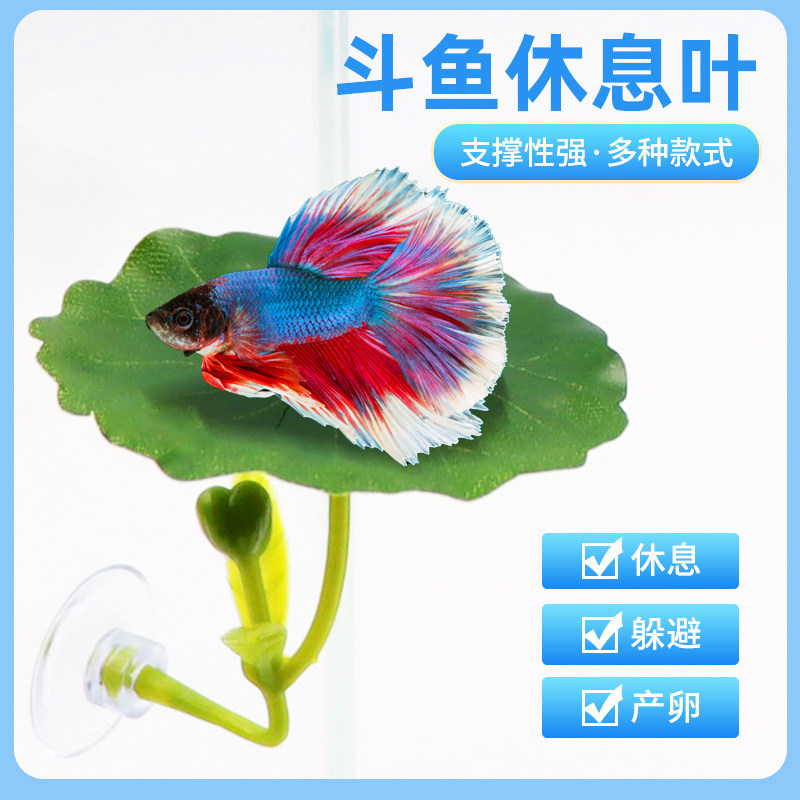 斗鱼栖休息躲避叶产卵荷叶子仿真水草树叶睡觉床鱼缸造景装饰摆件