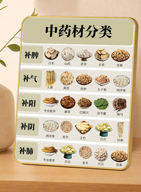 中药材分类知识科普装饰画中医馆养生馆背景墙装饰相框摆台