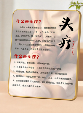 美容养生馆头疗科普展示摆件