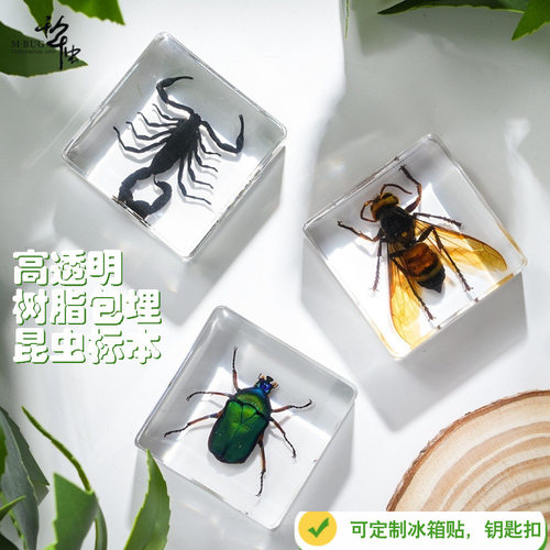 树脂滴胶昆虫标本盲盒礼物