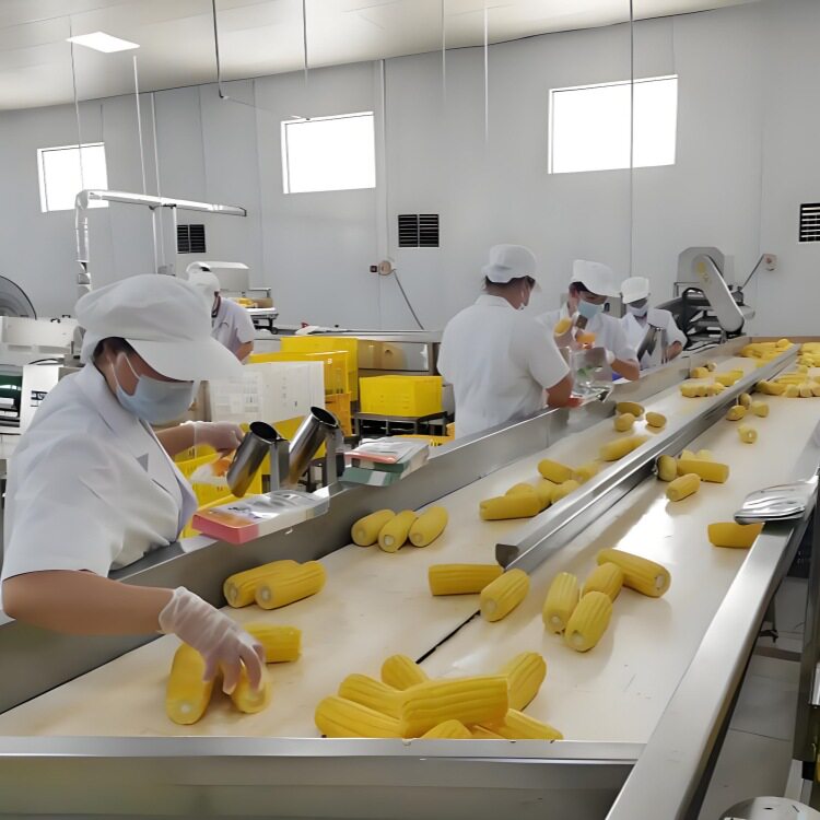 鲜玉米剥皮机竹笋藕片玉米漂烫蒸煮机流水线玉米加工设备厂家
