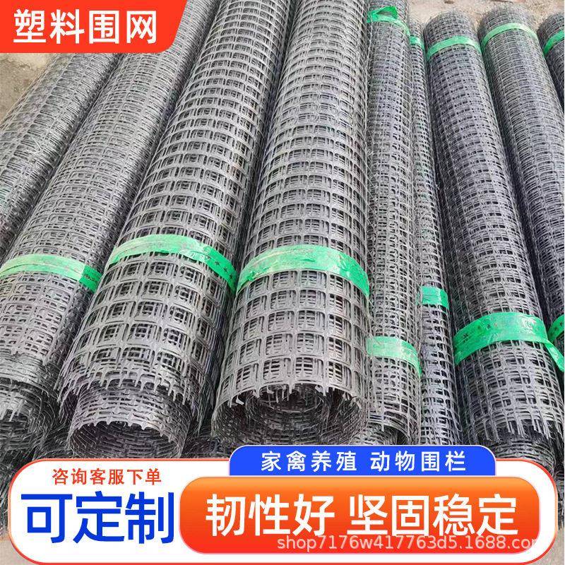 养鸡塑料网格围栏网拦鸡网家用玉米养殖网鱼塘防护网围栏栅栏户外