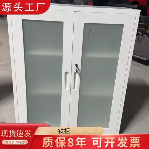 厂家供应带锁铁柜公室文件资料分类铁皮柜磨砂亚克力文件柜衣柜
