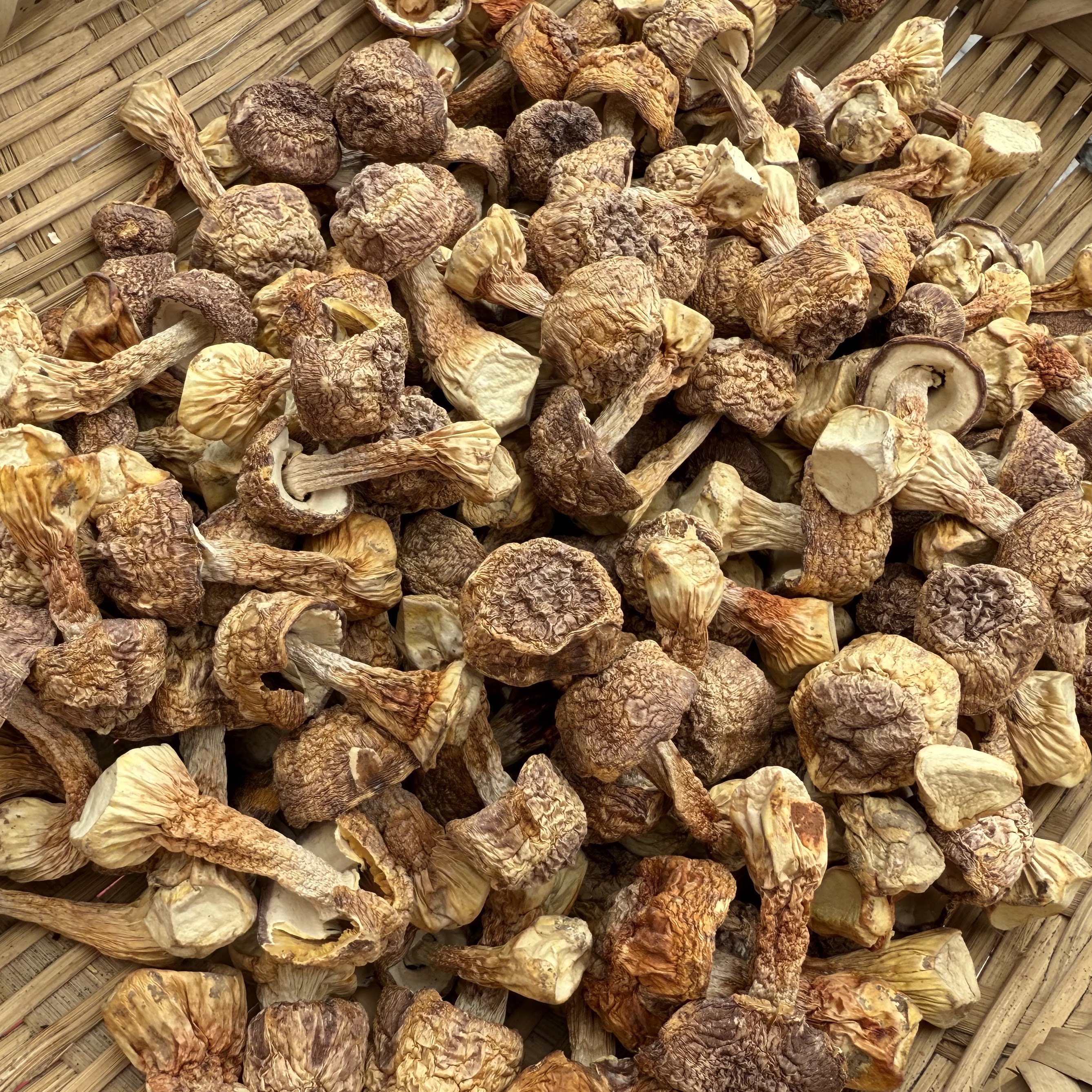 姬松茸干货农家特产食用菌菌菇煲香菇类