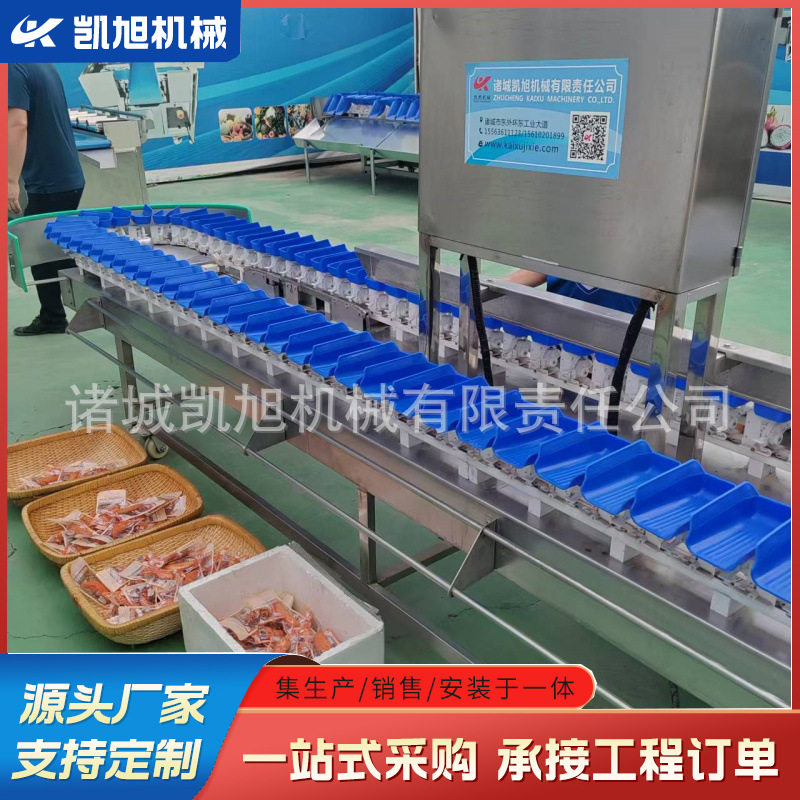 东北人参重量分选设备柿子柿饼称重分拣机释迦果大小分级机