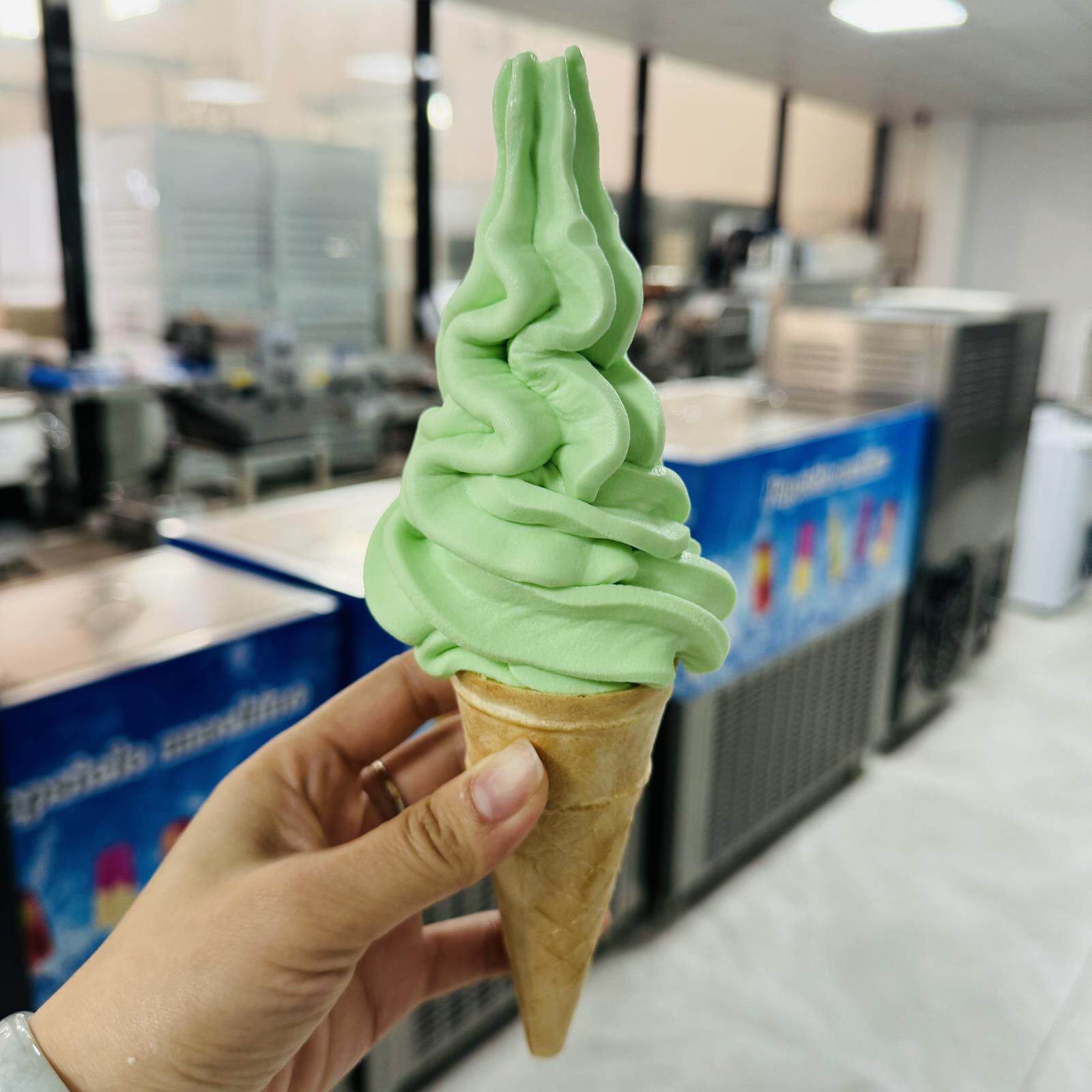 c商用水果冰淇淋搅拌机不锈钢全自动酸奶冰淇淋搅拌机带清洗功能