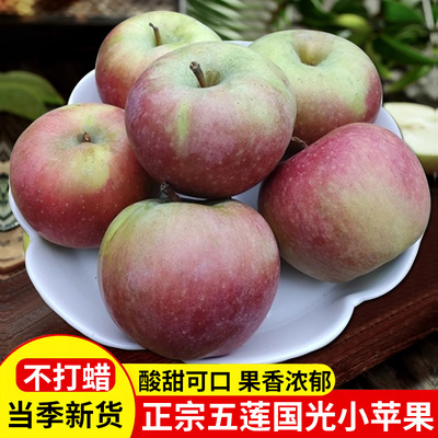 山东五莲老树国光苹果酸甜脆口