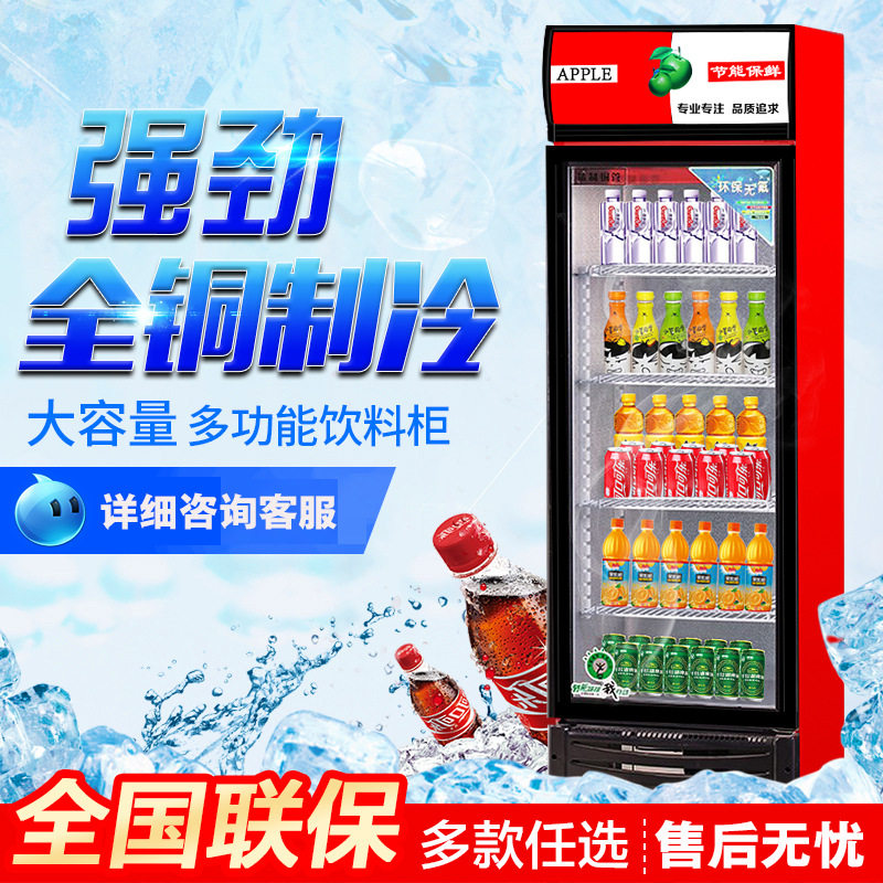 商用立式双门展示柜水果保鲜柜冰箱冰柜啤酒柜冷藏柜饮料柜