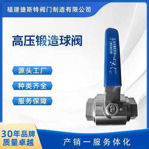 厂家直供钛合金钛2铸造锻造高压手动球阀工业管道小口径二片式