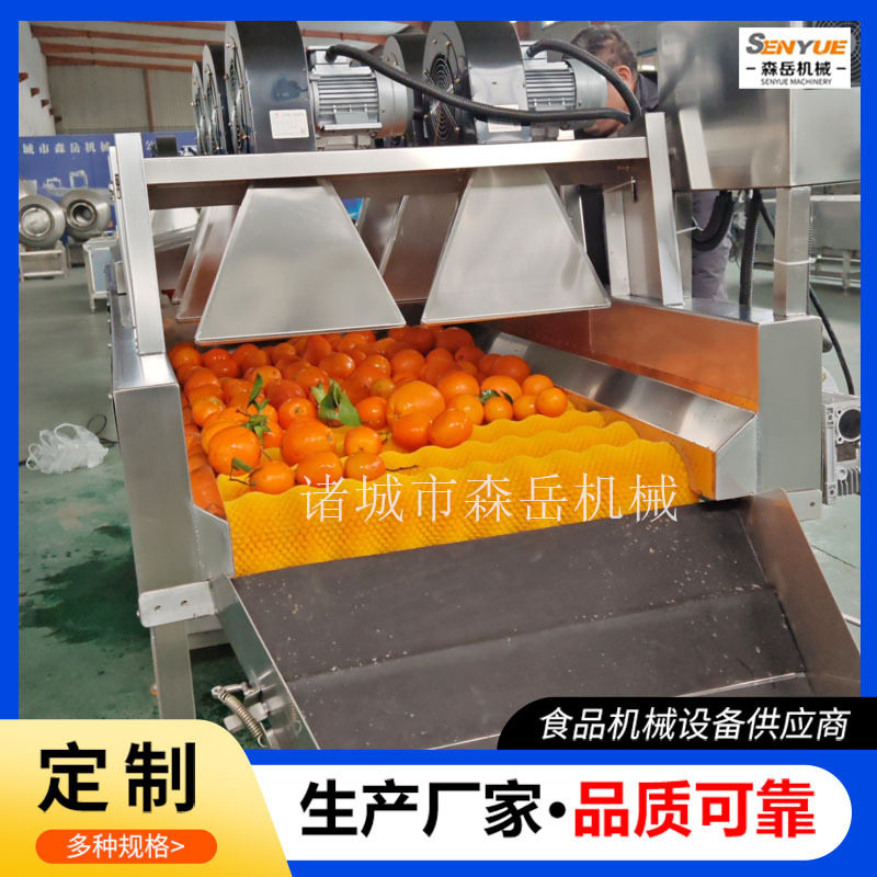 沃柑洗果机选果机茂谷柑清洗机去石灰黄帝柑清洗风干分级一体机