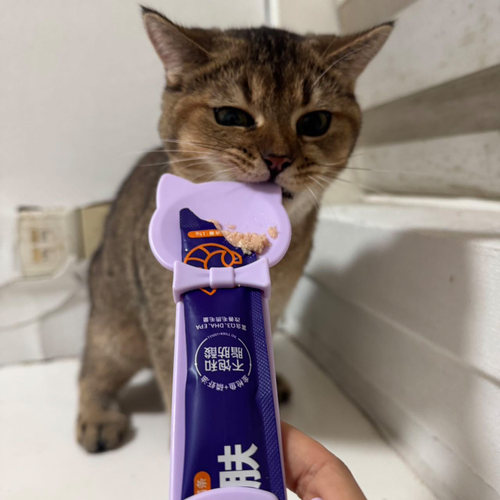 猫条喂食器猫条挤压喂食勺宠物用