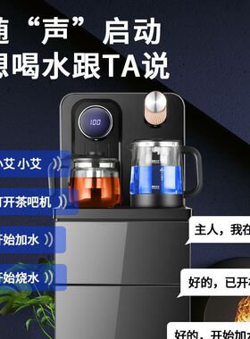 出口款饮水机立式冷热家用办公室全自动冰温热开水器下置式烧水器
