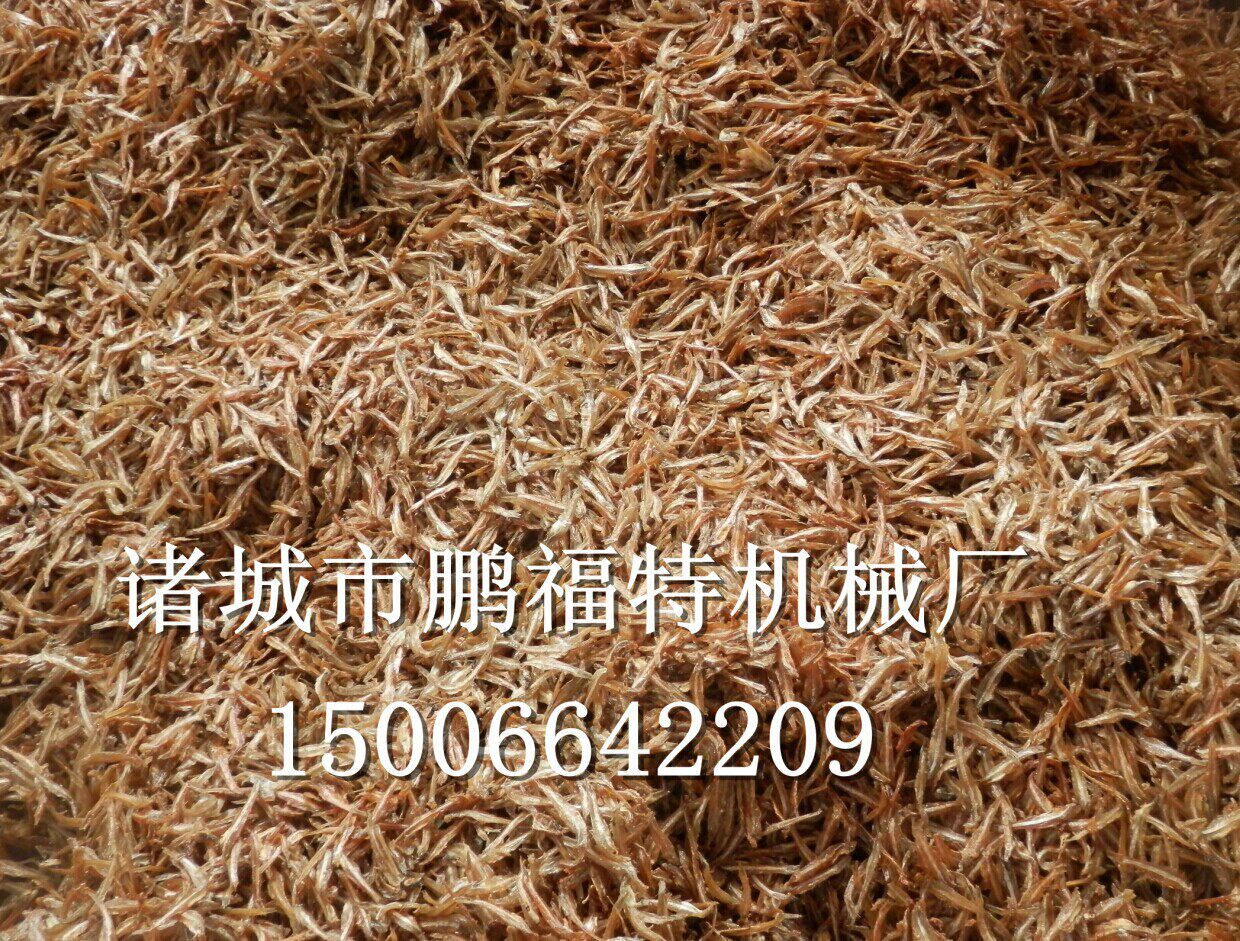 油炸小鱼仔油炸机、自动控温炸小鱼仔油炸机1
