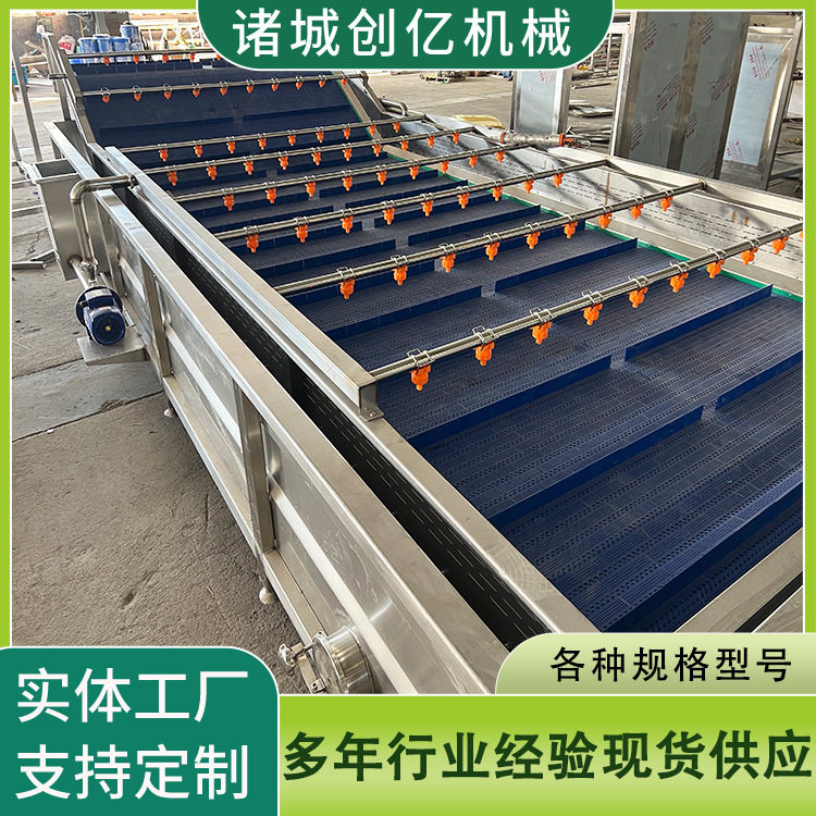 果蔬气泡清洗机不锈钢304气泡喷淋式果蔬清洗机龙宫果清洗机