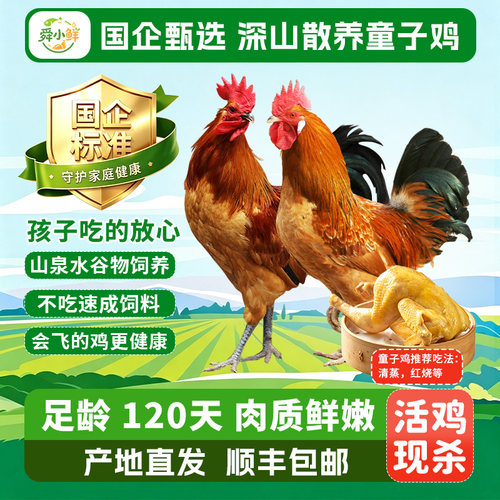 深山农家散养土鸡童子鸡小孩爱吃走地鸡小公鸡新鲜鸡肉整只徽州
