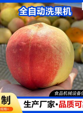 诸城森岳黄桃枇杷橄榄果水果毛辊清洗机不锈钢产地鲜果洗果机器