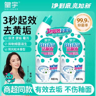 皇宇洁厕剂强力去污500g*2瓶