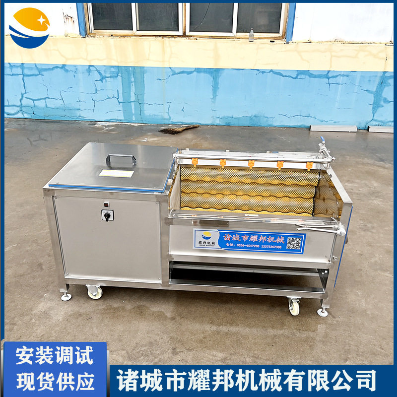 百香果清洗机全自动鸡蛋果清洗设备滚动毛刷式连续洗罗汉果机器