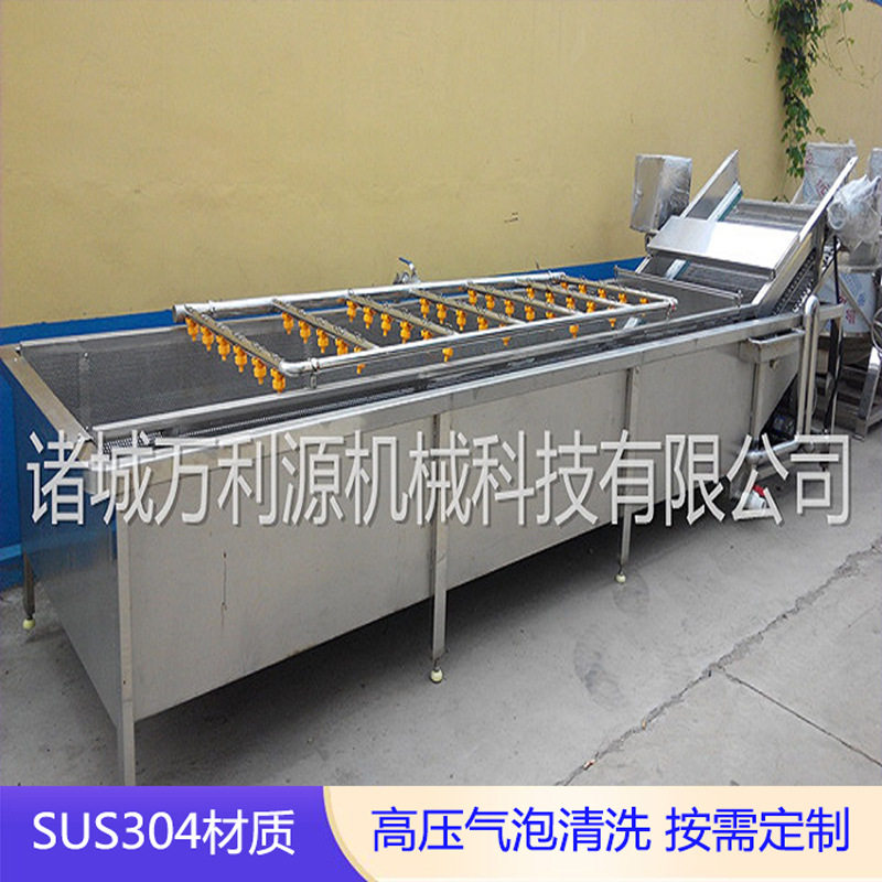 满足不同产量需求的果蔬气泡清洗机高压水喷淋卷心菜包菜清洗机