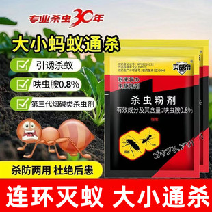 蚂蚁药家用京康灭蚁饵剂厨房室内外引诱除灭红蚂蚁黄蚂蚁杀虫粉剂
