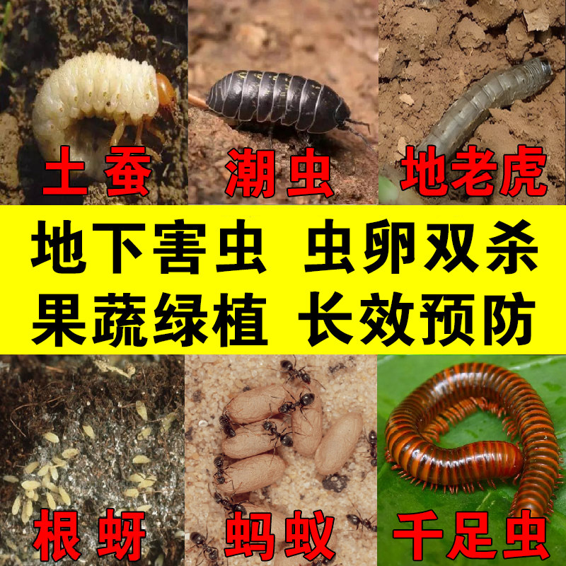 土壤杀虫剂地下害虫家用花盆花卉绿植花草蚜虫卵蜈蚣马陆花土除虫