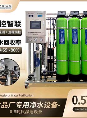 食品厂直饮水设备源头工厂水处理净水设备纯水设备 RO反渗透设备
