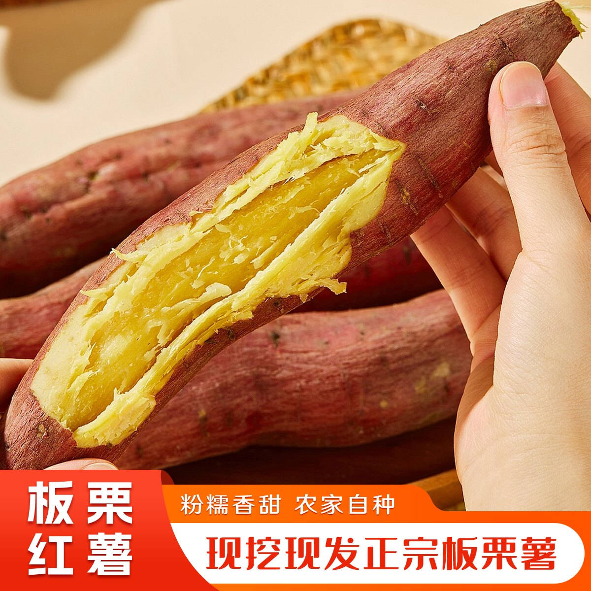 陕西沙地现挖板栗红薯新鲜包邮