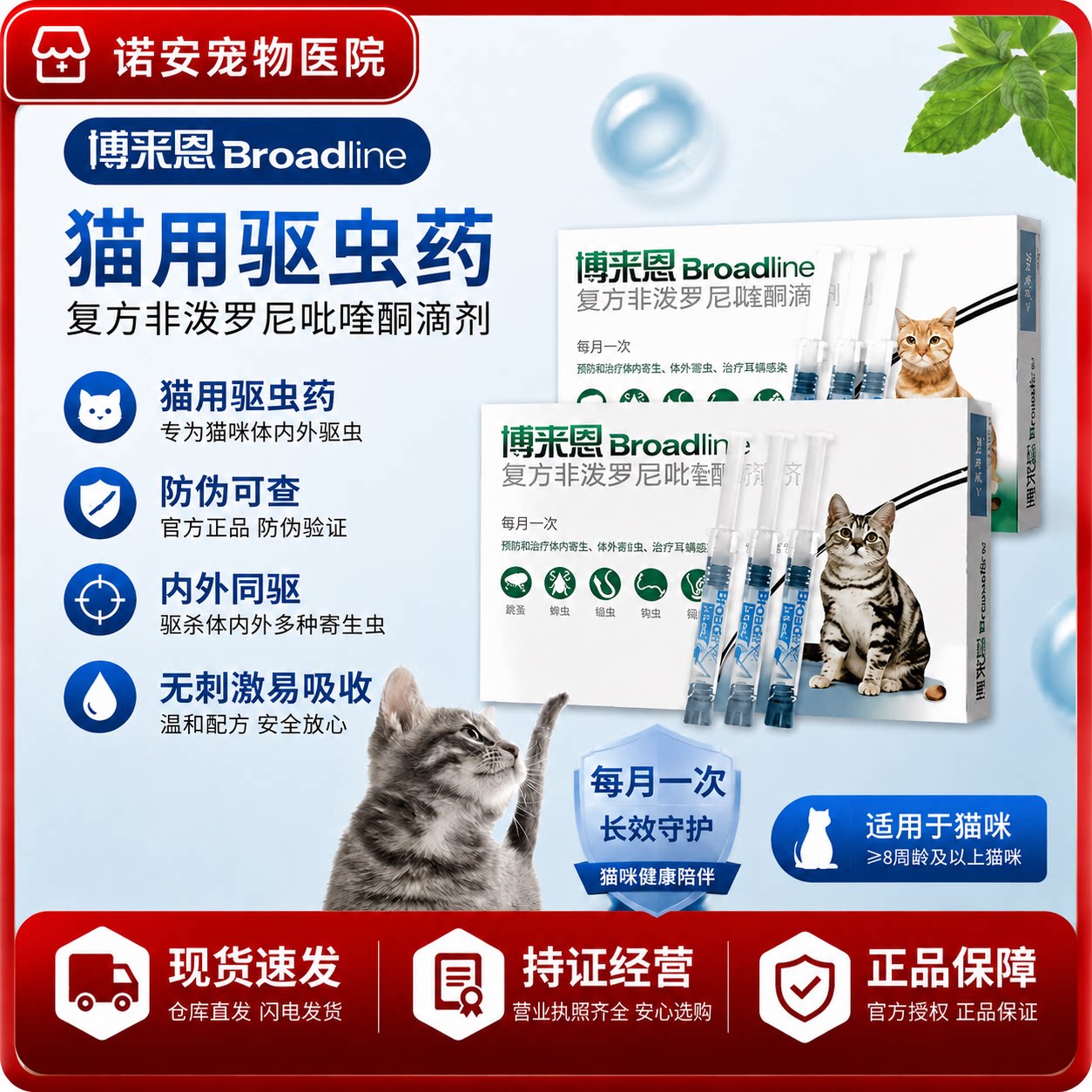 博来恩法国进口猫咪驱虫药体内体猫驱虫药
