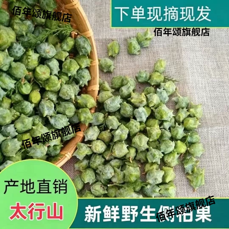 野生侧柏叶柏壳枕头线香现摘发