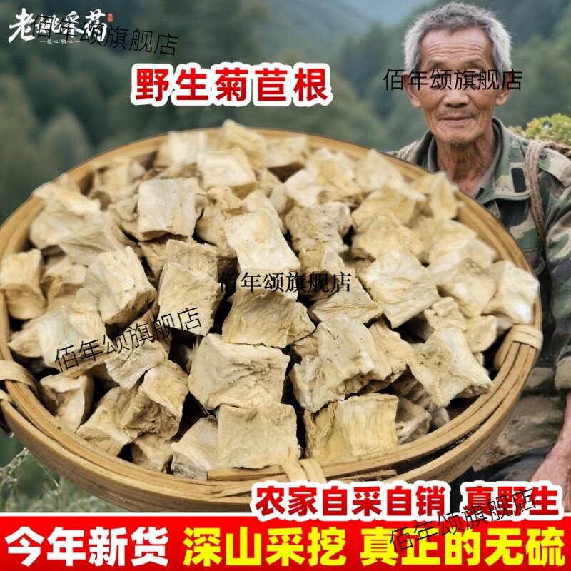 菊苣根材新货散装干长白山