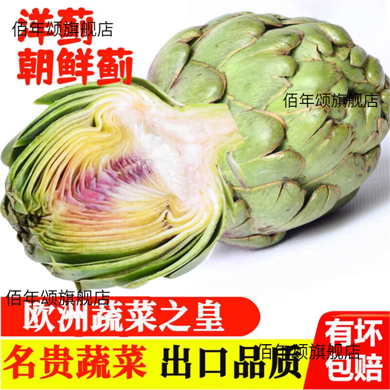 新鲜洋蓟朝法国百合菜菊