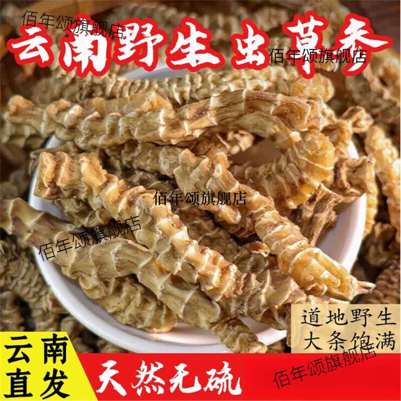 云南野生特级虫草参干货