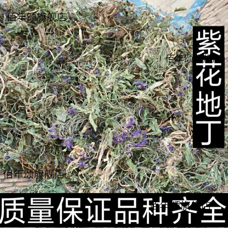 野生新鲜紫花地丁犁头草干品