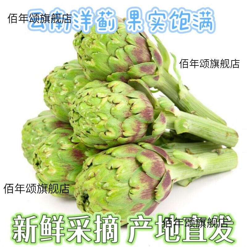 云南新鲜洋蓟当季蔬菜花西