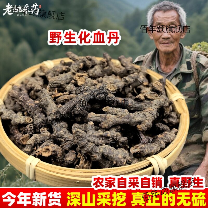 云南材化血丹当归柒七根