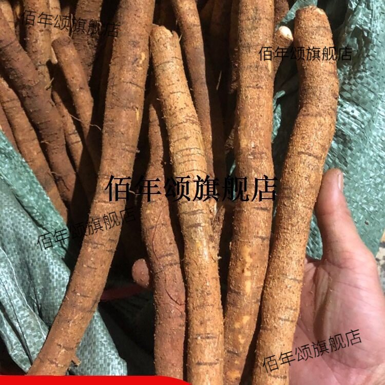 牛大力材泡酒新鲜山莲藕猪