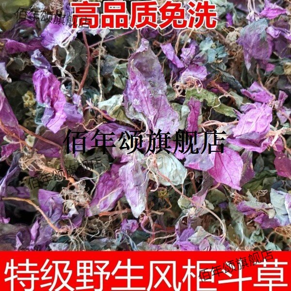 新鲜野生楮头红贵州中草药