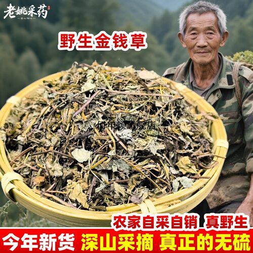 云南野生金钱草材小马蹄