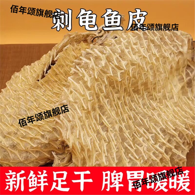 天然大号刺龟皮海刺豚皮煲汤