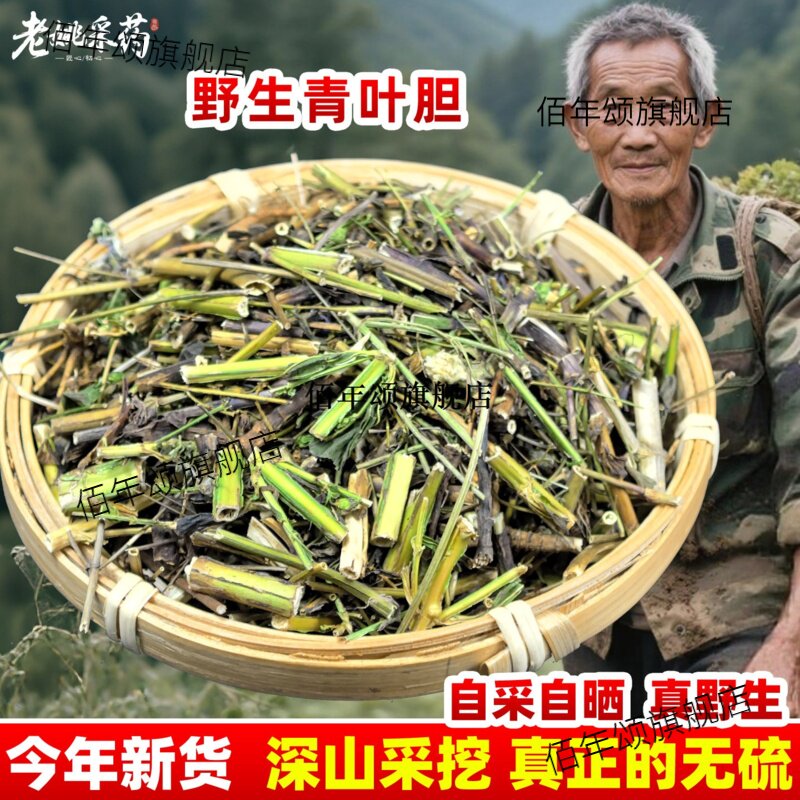 云南野生材青叶胆丹走药