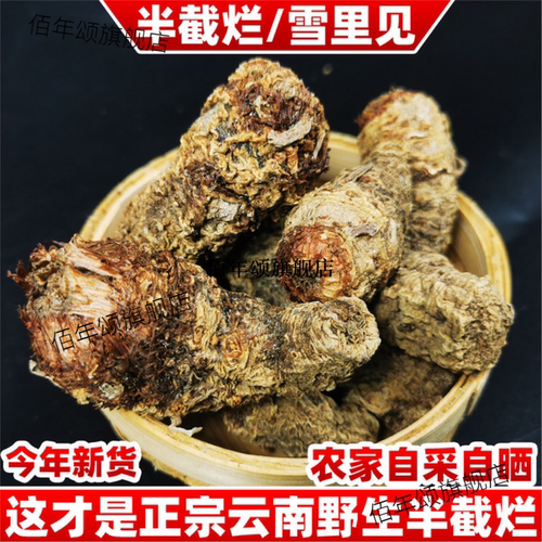云南野生雪里见半截烂材